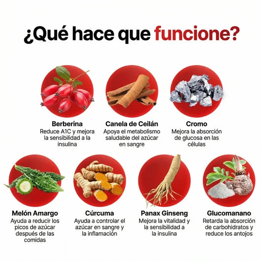 Descripción de la imagen